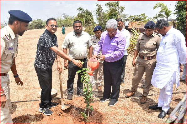 ધરમપુર વિલ્સન હિલ ખાતે વૃક્ષારોપણ કરાયું