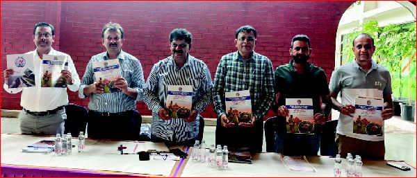 દમણમાં ૧૧મીઍ ડ્રગ્સ કન્ટ્રોલ અધિકારીઓનું રાષ્ટ્રીય સંમેલન મળશે