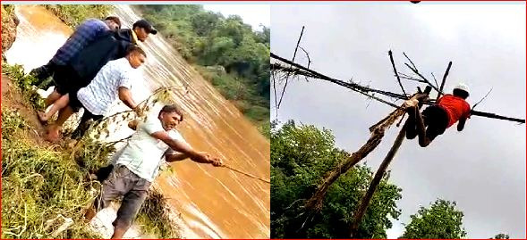 લાવરીમાં વીજ વાયરમાંથી લાકડાં દુર કરાયા