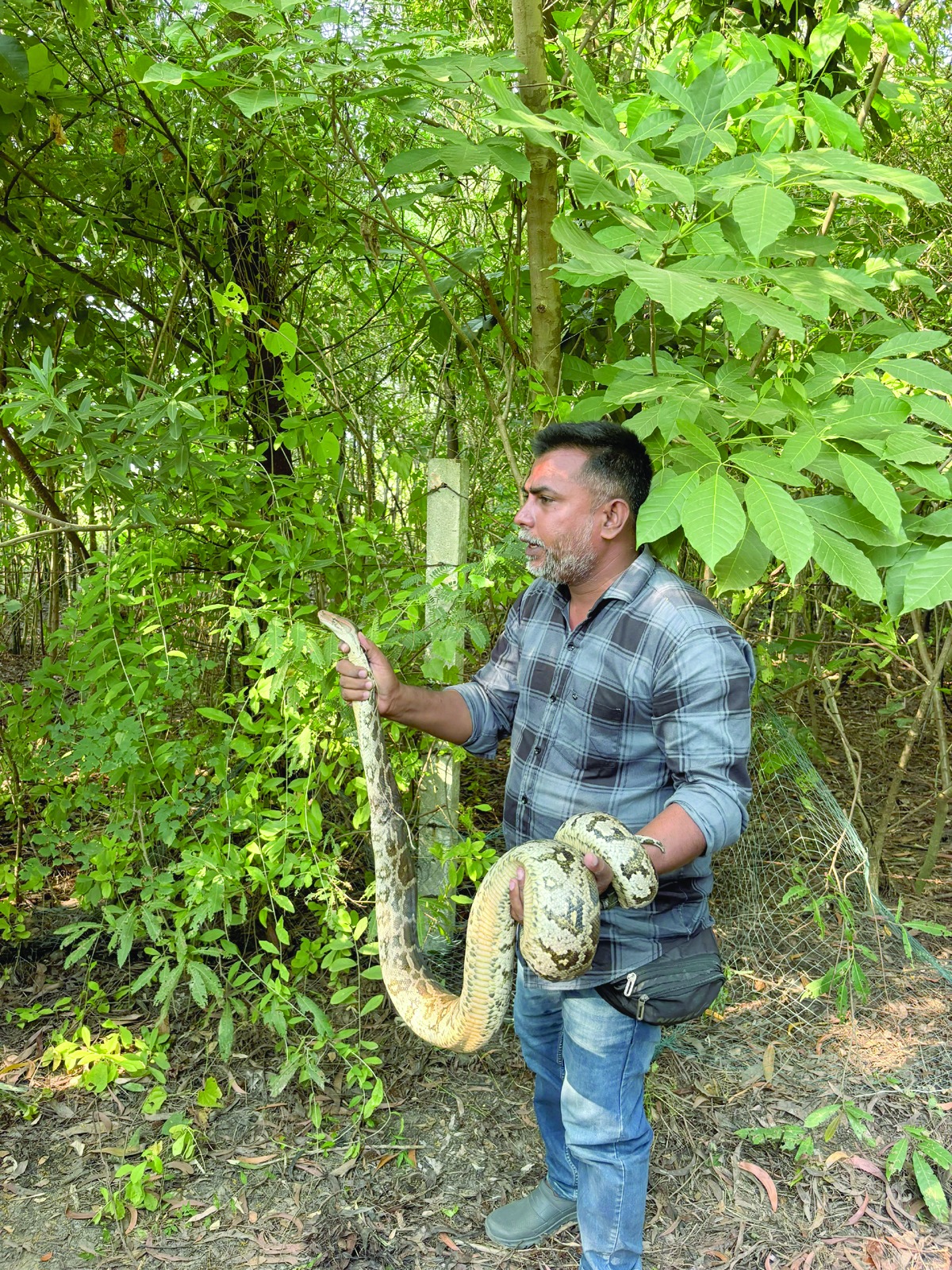 નારગોલ માલવણ બીચથી અજગરનું રેસ્ક્યું